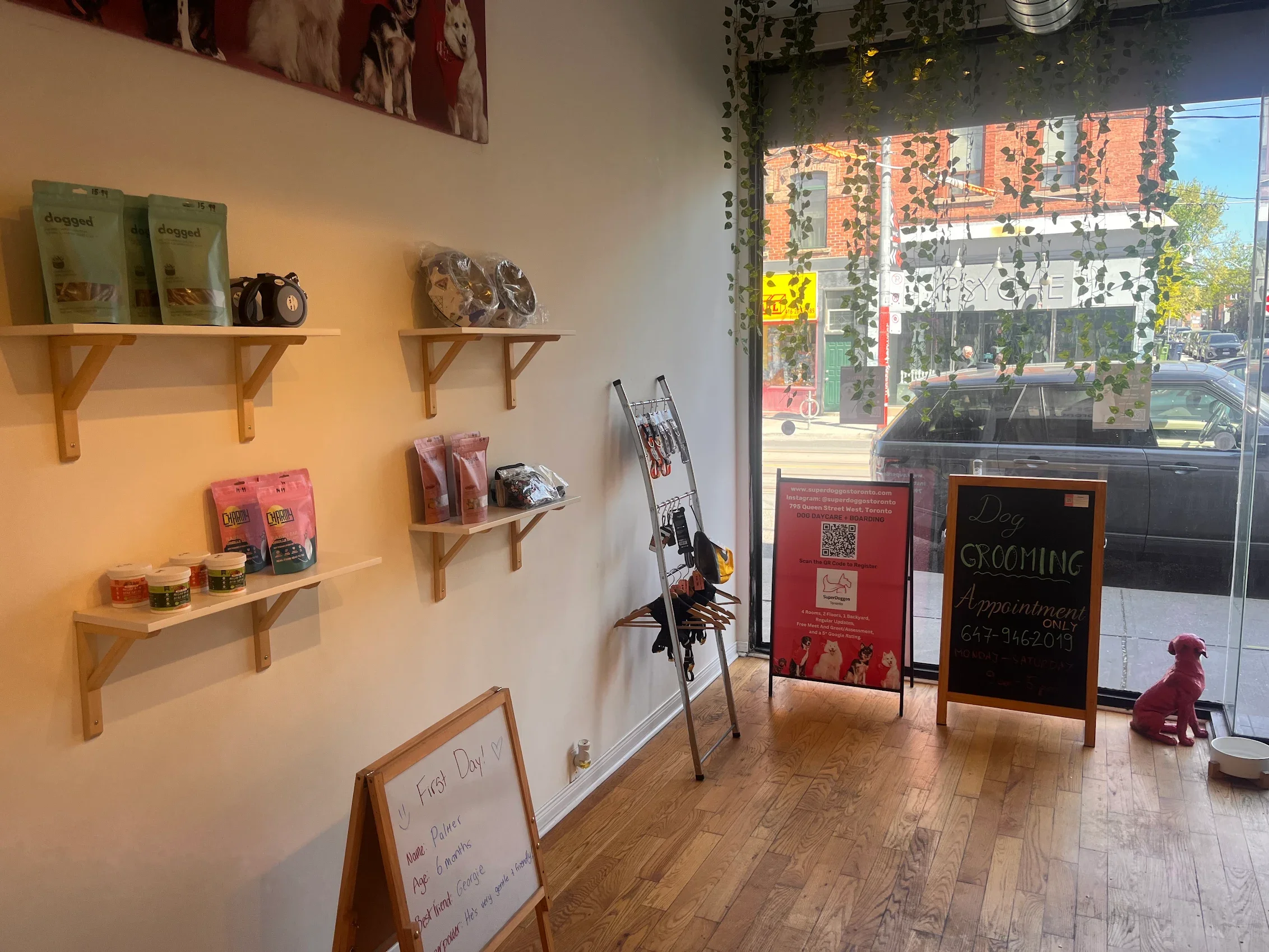 Grooming photo from Christa M's review